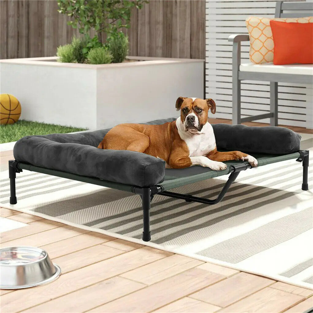 Durable Pet Lounger - Indoor/Outdoor