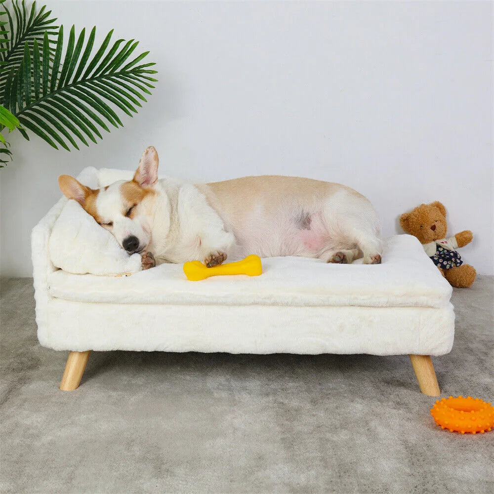 Elegant Pet Sofa Bed