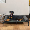 Durable Pet Lounger - Indoor/Outdoor